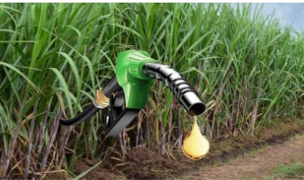 ethanol blended petrol