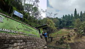 IUCN