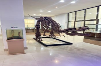 Mizoram University Museum: मिजोरम विश्वविद्यालय का प्राकृतिक इतिहास संग्रहालय बना देश का 21वां राष्ट्रीय भंडार