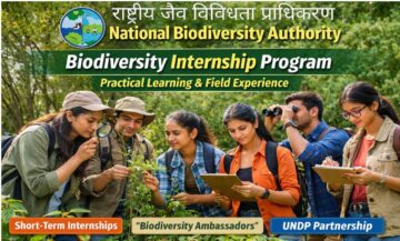 Biodiversity Internship